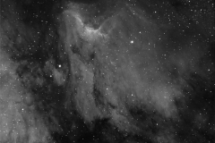Pelican Nebula