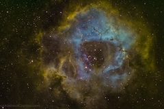 rosette-hst
