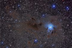 NGC7023-Iris-Nebula